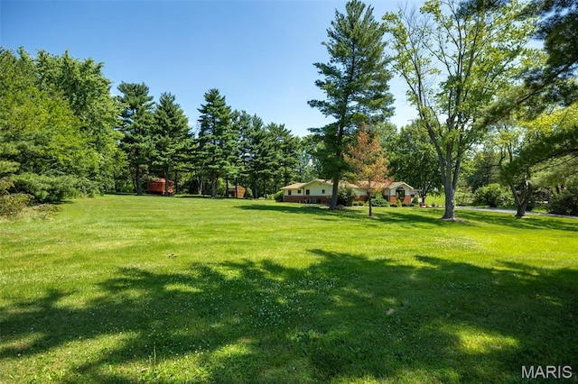 12884 Rte 108, Carlinville, IL 62626 - photo 39