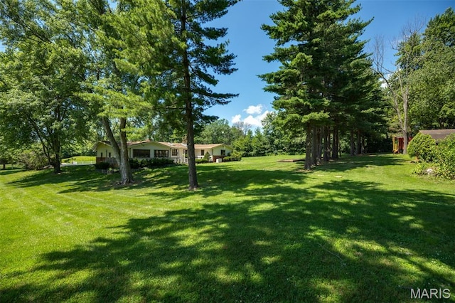 12884 Rte 108, Carlinville, IL 62626 - photo 43