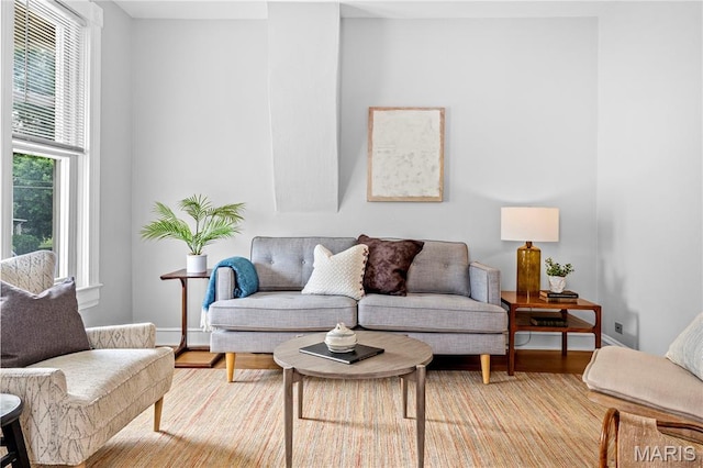 2725 Macklind Ave, Saint Louis, MO 63139 - living room featuring wood finished floors and baseboards