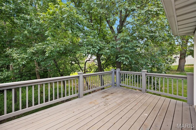 2908 Elderwood Cir, High Ridge, MO 63049 - photo 29