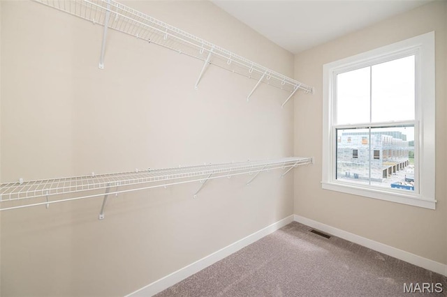 1347 W Gateway Hts W Unit 53-603, Richmond Heights, MO 63144 - walk in closet with carpet floors