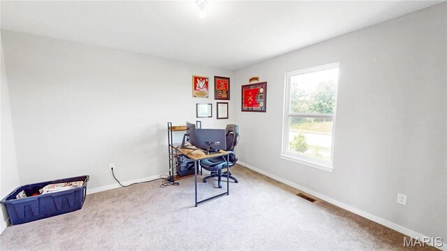 705 Myatt Dr, Wentzville, MO 63385 - photo 25