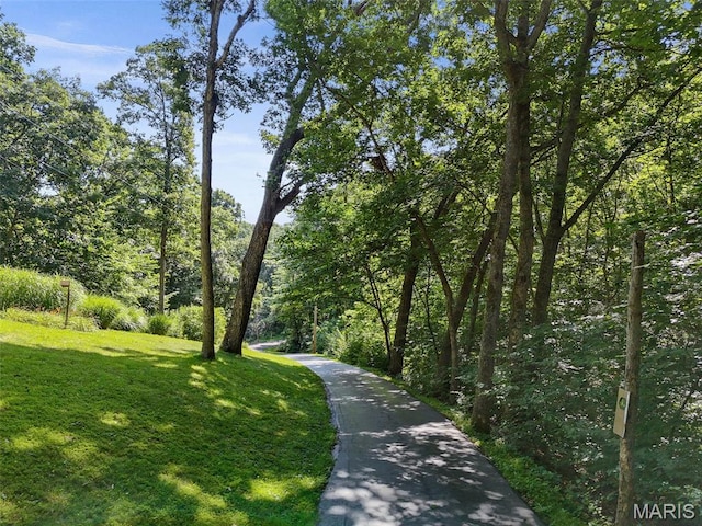 1265 Dietrich Rd, Foristell, MO 63348 - photo 42