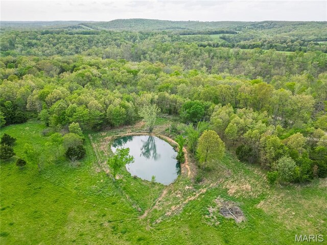 TRACT2 Riverside Rd, Crocker, MO 65452