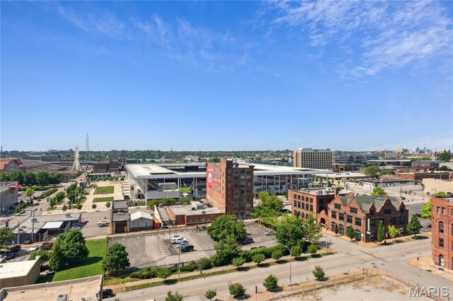 2020 Washington Ave Unit 503, Saint Louis, MO 63103 - photo 30