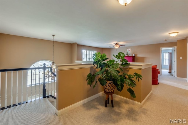 3026 Windsor Point Dr, Saint Louis, MO 63129 - hallway featuring carpet floors and plenty of natural light