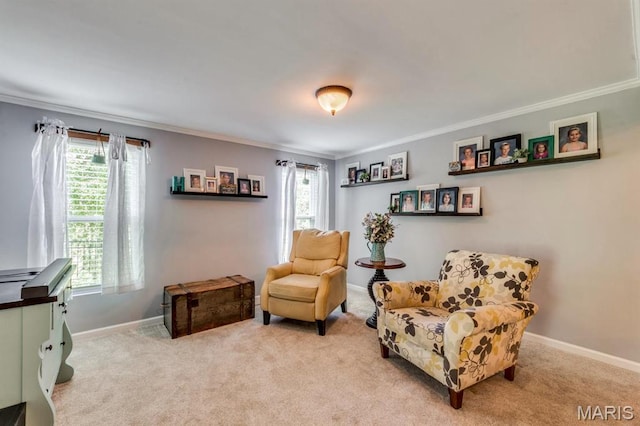 3026 Windsor Point Dr, Saint Louis, MO 63129 - living area featuring ornamental molding, healthy amount of natural light, and light colored carpet