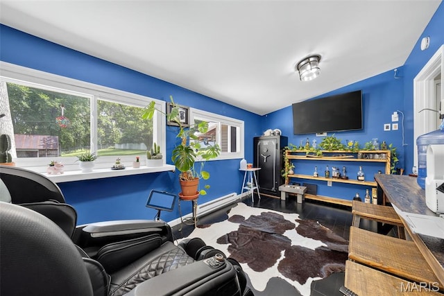 11365 Inverness Ln, Maryland Heights, MO 63043 - living room with plenty of natural light and lofted ceiling