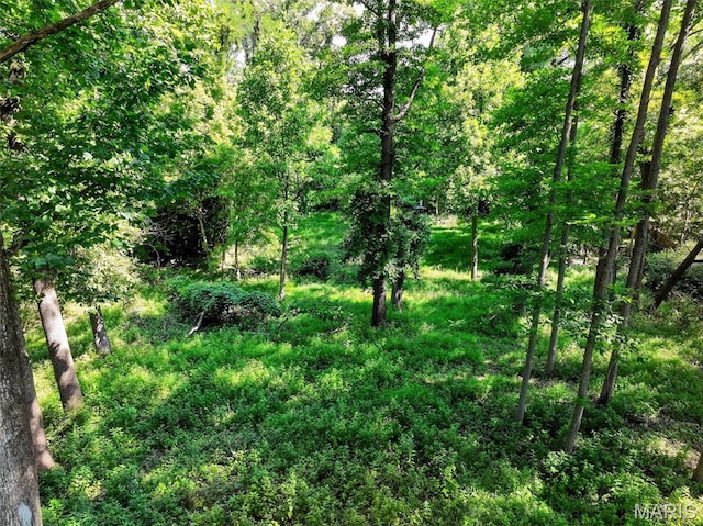 11365 Inverness Ln, Maryland Heights, MO 63043 - view of woods
