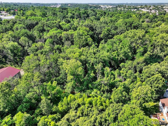 11365 Inverness Ln, Maryland Heights, MO 63043 - drone / aerial view of a forest