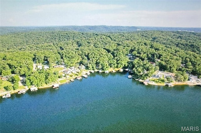 8849 Possum Holw, French Village, MO 63036 - photo 43
