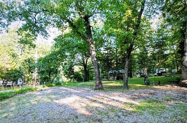 8849 Possum Holw, French Village, MO 63036 - photo 44