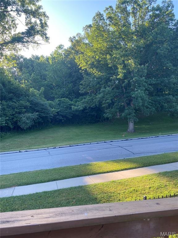 2832 Blackforest Dr Unit D, Saint Louis, MO 63129 - photo 22