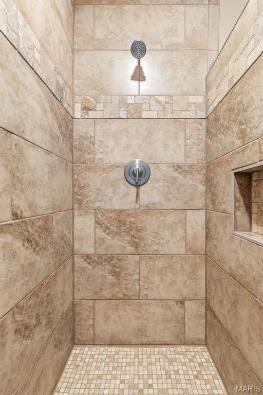 600 Allen Place, De Soto, MO 63020 - full bathroom featuring tiled shower