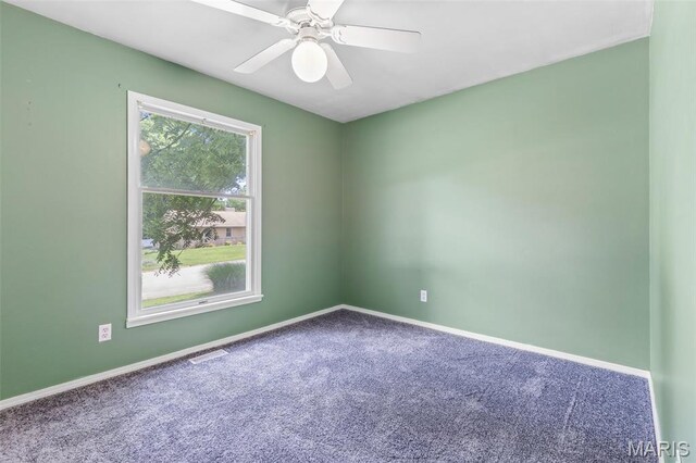 703 Sun Valley Dr, Farmington, MO 63640 - photo 24