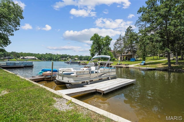 5876 N Lakeshore Dr, Hillsboro, MO 63050 - photo 49