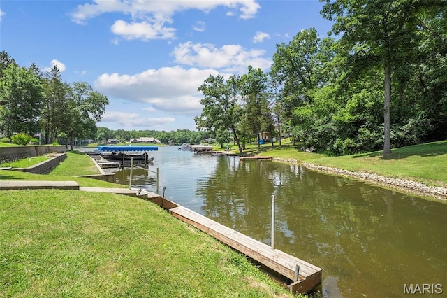 5876 N Lakeshore Dr, Hillsboro, MO 63050 - photo 50