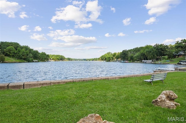 5876 N Lakeshore Dr, Hillsboro, MO 63050 - photo 57