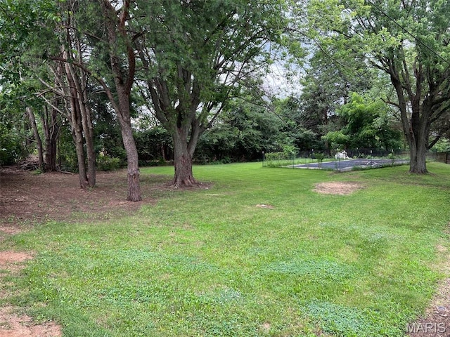 1562 Starlight Dr, Saint Louis, MO 63135 - photo 20
