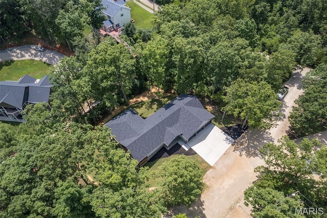 10028 Debbie Pl, Bonne Terre, MO 63628 - bird's eye view