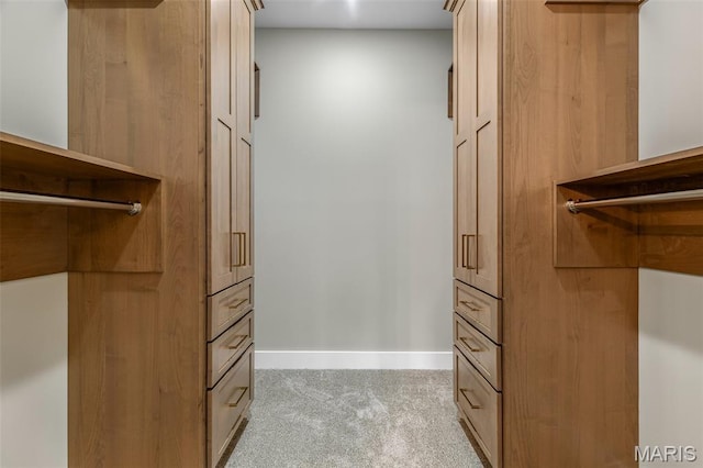10028 Debbie Pl, Bonne Terre, MO 63628 - walk in closet with light colored carpet