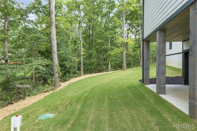 10028 Debbie Pl, Bonne Terre, MO 63628 - view of green lawn with a patio