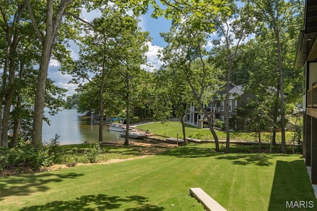 10028 Debbie Pl, Bonne Terre, MO 63628 - view of home's community with a water view and a lawn