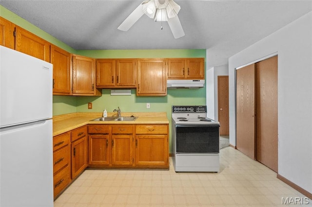 237 Perrottet Dr, Mascoutah, IL 62258 - kitchen featuring freestanding refrigerator, range with electric cooktop, under cabinet range hood, light flooring, and light countertops