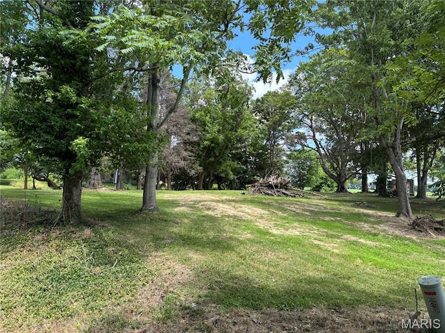22038 N Post Oak Ln, Walnut Hill, IL 62893