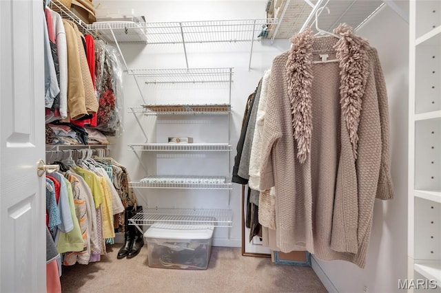 112 Wake Forest Pl, Ofallon, MO 63368 - walk in closet featuring carpet floors