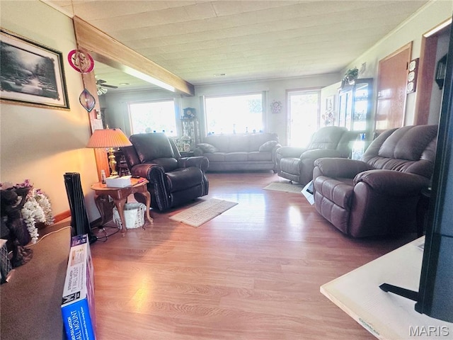 1620 N Jefferson St, Mexico, MO 65265 - living area featuring wood finished floors