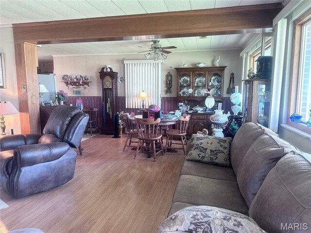 1620 N Jefferson St, Mexico, MO 65265 - living room featuring wood finished floors, a ceiling fan, and beamed ceiling