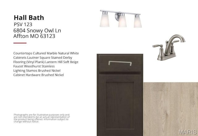 6804 Snowy Owl Ln, Affton, MO 63123 - photo 3