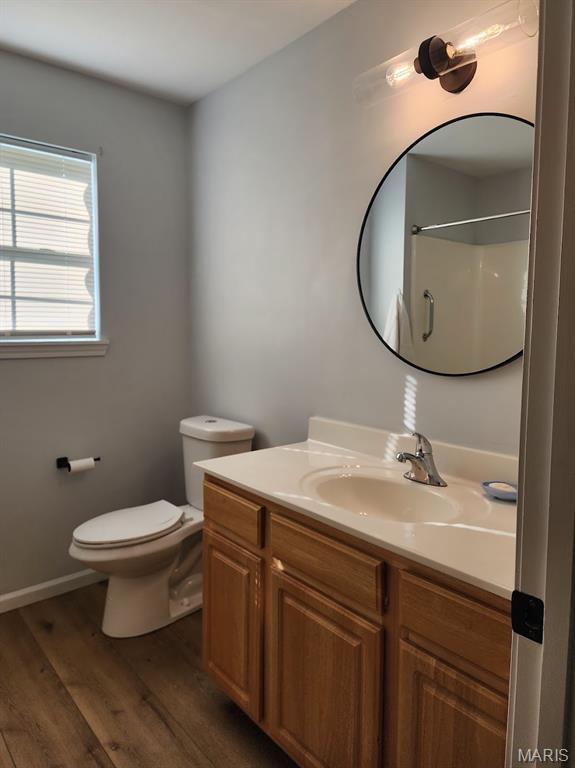 1604 Napoleon Dr, Bonne Terre, MO 63628 - bathroom with wood finished floors, vanity, and a shower