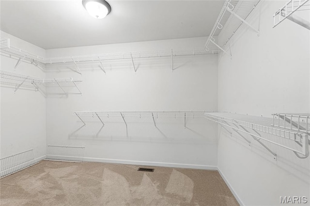 524 Pleasant Breeze Dr, Wentzville, MO 63385 - spacious closet with carpet floors