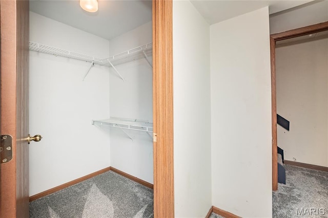 1756 Pineberry Ct, Creve Coeur Township, MO 63146 - spacious closet featuring carpet