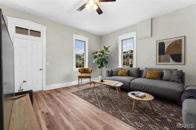 306 Walnut St, Waterloo, IL 62298 - living room featuring ceiling fan and wood finished floors