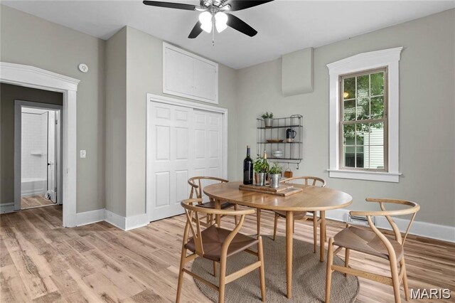 306 Walnut St, Waterloo, IL 62298 - dining space with light wood-style flooring and ceiling fan