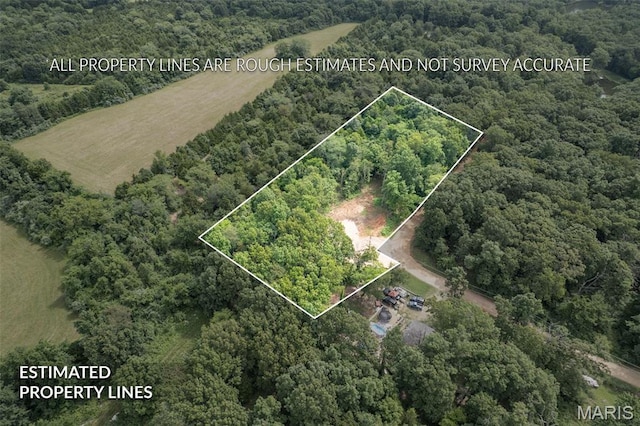 9793 Grove Dr, Bonne Terre, MO 63628 - photo 1