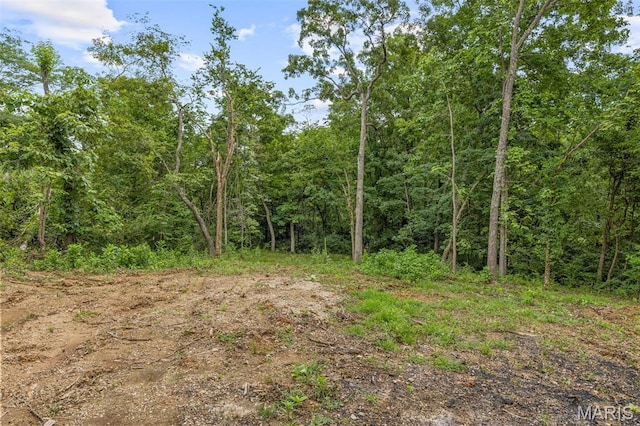 9793 Grove Dr, Bonne Terre, MO 63628 - photo 3