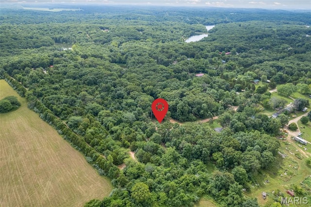 9793 Grove Dr, Bonne Terre, MO 63628 - photo 10