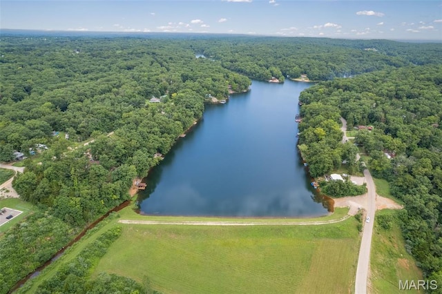 9793 Grove Dr, Bonne Terre, MO 63628 - photo 23