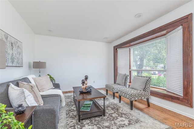 540 Lula Dr, Florissant, MO 63031 - photo 9