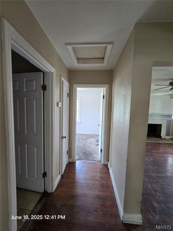 6203 Dardanella Ave, Normandy, MO 63121 - hall with wood finished floors and baseboards