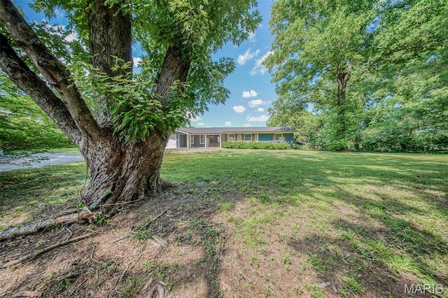 12575 State Route F, Rolla, MO 65401 - view of green lawn