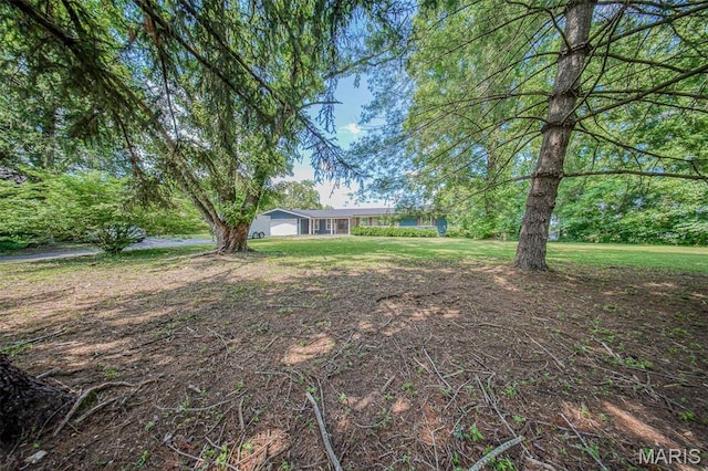 12575 State Route F, Rolla, MO 65401 - view of grassy yard
