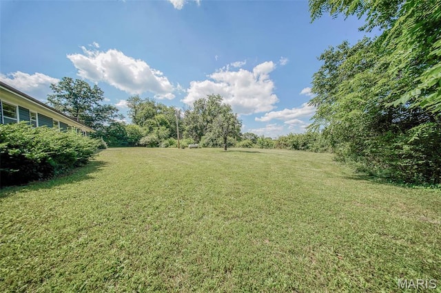 12575 State Route F, Rolla, MO 65401 - view of grassy yard