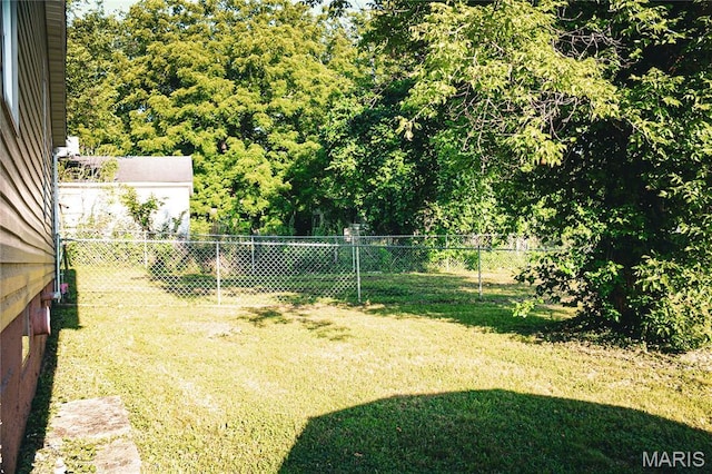 908 Birch St, Leadwood, MO 63653 - view of yard