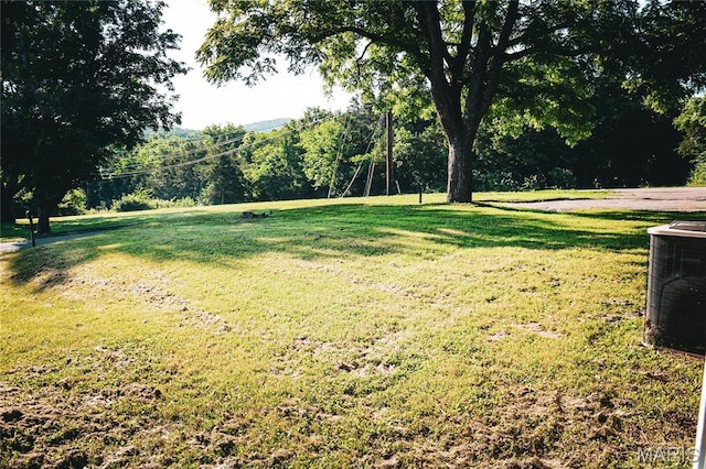 908 Birch St, Leadwood, MO 63653 - view of green lawn