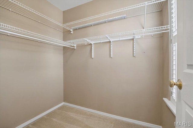 612 Thornridge Dr, Ofallon, MO 63368 - spacious closet with carpet